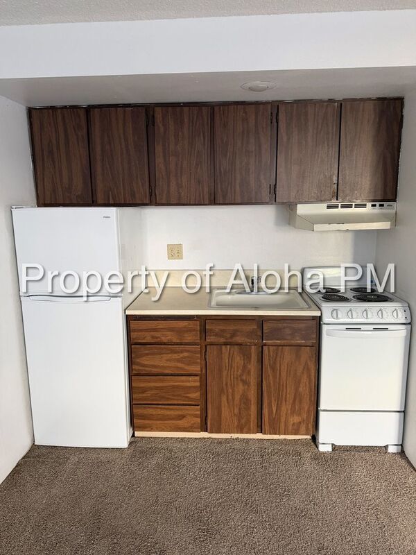 Studio apartment in a fantastic downtown Boise location! property image