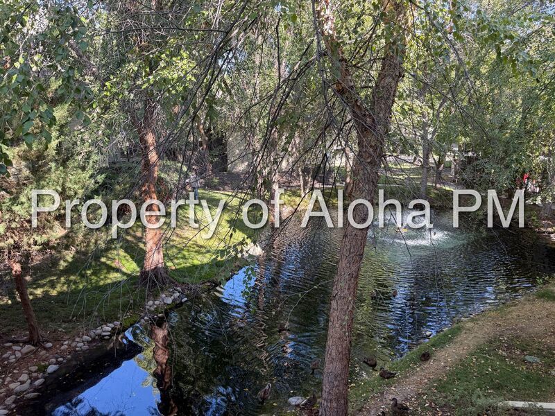DELIGHTFUL SECLUSION! 1 BED 1 BATH IN A GREAT LOCATION! property image